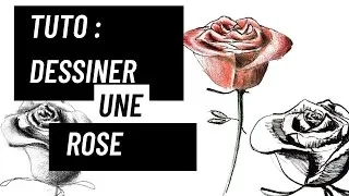 Miniature : Tuto : Apprendre à dessiner des roses