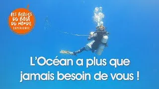 Miniature : Plongez au Costa Rica pour la Conservation Marine !
