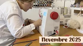 Miniature : NOVEMBRE 2025