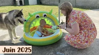 Miniature : JUIN 2025