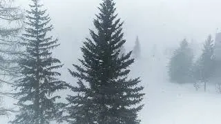 Miniature : Tempête la Daille station de ski - hiver 2020