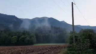 Miniature : Capsule Les Bleues’Bellules : la forêt fabrique les nuages (et donc la pluie!)