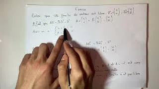 Miniature : Exercice corrigé : Montrer qu’une famille de vecteurs est libre - mathématiques 2