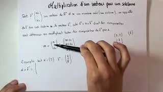 Miniature : Comment multiplier un vecteur par un scalaire ? Mathématiques 2