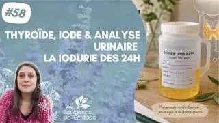 Miniature : Analyse d'urine 24h thyroïde : pourquoi réaliser une iodurie 24 heures ?