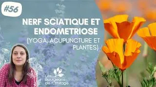 Miniature : Nerf sciatique et Endométriose - Yoga, Acupuncture et Plantes médicinales