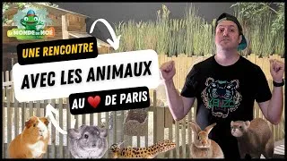 Miniature : EXPÉRIENCE IMMERSIVE : RENCONTRE AVEC LE RÈGNE ANIMAL AU COEUR DE PARIS ♥️