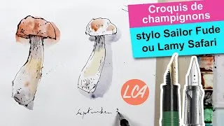 Miniature : Croquis de champignons : stylo Sailor Fude vs Lamy Safari
