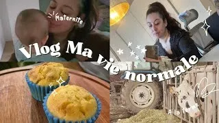 Miniature : Dépression saisonnière... | Ma Vie Normale 2