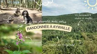 Miniature : Ma première randonnée : vallée de la Ninglinspo à Aywaille (Abby, mon mari, et une fierté douce)