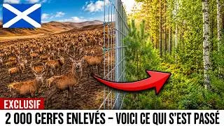 Miniature : Cette Colline Écossaise Était Aride 400 Ans — Puis un Héritier a Fait ce que Personne n'a Tenté