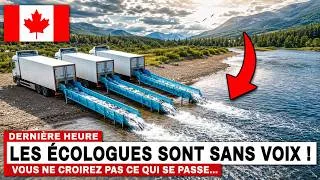 Miniature : 13 000 saumons largués dans une rivière morte : 2 ans plus tard, les scientifiques sont sans voix !