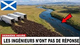 Miniature : L'Écosse a relâché des CENTAINES de Castors sur des Terres Mortes — Et VOICI ce qui s'est passé !