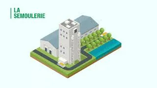 Miniature : Du blé dur aux pâtes | Les Céréales