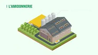 Miniature : Tout est bon dans le maïs | Les Céréales