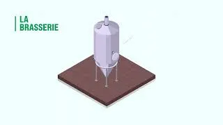 Miniature : De l'orge à la bière | Les Céréales