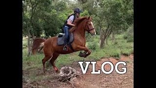 Miniature : VLOG : retrouvaille, haul, cookies ...!