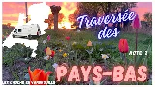 Miniature : Road trip Europe du Nord #2 : Nuitées chez l'habitant aux Pays-Bas et fête des Tulipes !