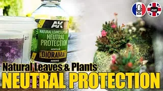 Miniature : Conserver des Plantes Naturelles : Test du Natural Leaves & Plants Neutral Protection de chez AK