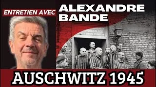 Miniature : Auschwitz 1945