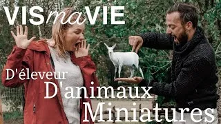 Miniature : VIS ma VIE : D'ÉLEVEUR D'ANIMAUX MINIATURES