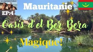 Miniature : #mauritanie #roadtrip #offroad   plein Sud 2026, l'Oasis d'el  Berbera, un endroit hors du temps.