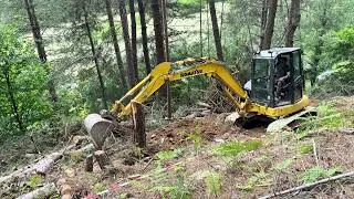 Miniature : Arracher de souche en foret en montagne avec une pelleteuse
