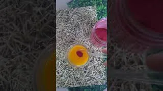 Miniature : Vidéo atelier peinture nature