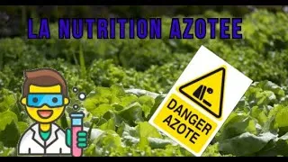 Miniature : La NUTRITION AZOTEE chez les PLANTES