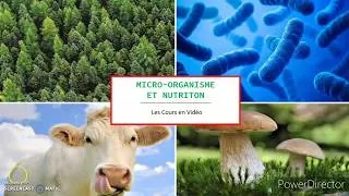 Miniature : Le ROLE des BACTERIES dans la NUTRITION (collège)