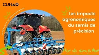 Miniature : Les impacts agronomiques du semis
