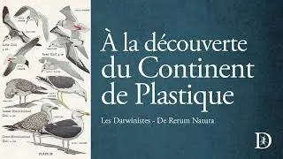 Miniature : À la découverte du Continent de plastique | Les Darwinistes