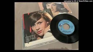 Miniature : CHRISTINE LEBAIL  Je n’aime pas tes amis