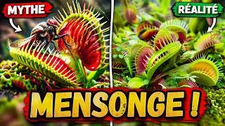 Miniature : Plantes Carnivores : 5 Mythes Complètement Faux (et dangereux…) ☠️