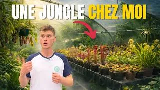 Miniature : Ma Serre est devenue une vraie JUNGLE Carnivore 🌿 (Greenhouse Tour)