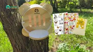 Miniature : Le Papill'home : Accueillez, dorlotez et observez les papillons
