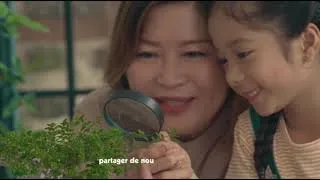 Miniature : Permettez à des élèves de dorloter des abeilles solitaires !
