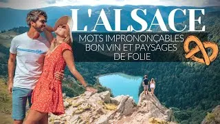 Miniature : L'ALSACIEN... c'est trop dur !⎪Que faire en Alsace : road trip du nord au sud