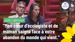 Miniature : Julie Laernoes : "Mon cœur d'écologiste et de maman saigne face à votre abandon du monde qui vient."