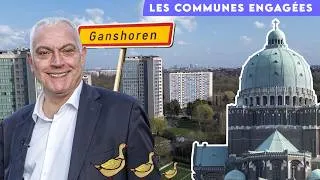 Miniature : Ganshoren : des oies, la ville et les marais