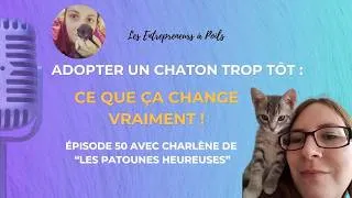 Miniature : Adopter un chaton trop tôt  ce que ça change vraiment