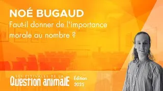 Miniature : Faut-il donner de l'importance morale au nombre ? - Noé Bugaud