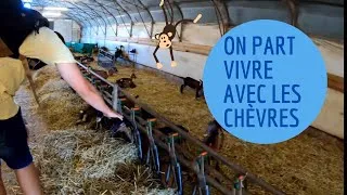 Miniature : Road trip (S2) épisode 2 : On part vivre à la campagne