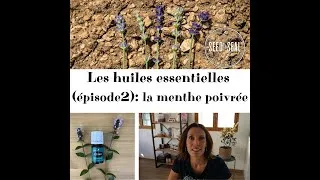 Miniature : LES HUILES ESSENTIELLES (épisode 2): MENTHE POIVREE