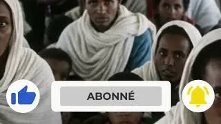 Miniature : Opération Solomon : 36 heures pour sauver des milliers de vies