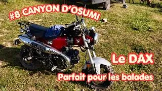 Miniature : #8 🚐 Route effondrée, demi-tour… puis la découverte d’un canyon exceptionnel en Albanie ! 🇦🇱