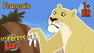 Miniature : Les lions évitent cette petite créature [épisodes complets] Les Frères Kratt