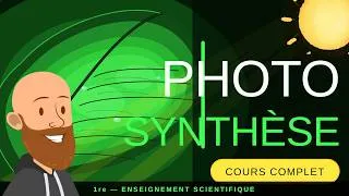 Miniature : Cours complet sur la photosynthèse en 1ere enseignement scientifique