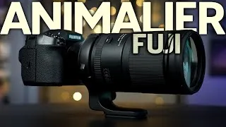 Miniature : l'objectif idéal pour l'ANIMALIER chez Fujifilm : Test Tamron 150-500mm f5-6.7 Di III VC VXD