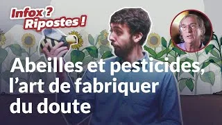 Miniature : INFOS RIPOSTES - Abeilles et pesticides : l’art de fabriquer du doute